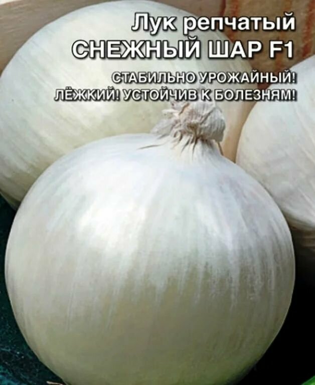 Коллекционные семена лука репчатый Снежный Шар F1