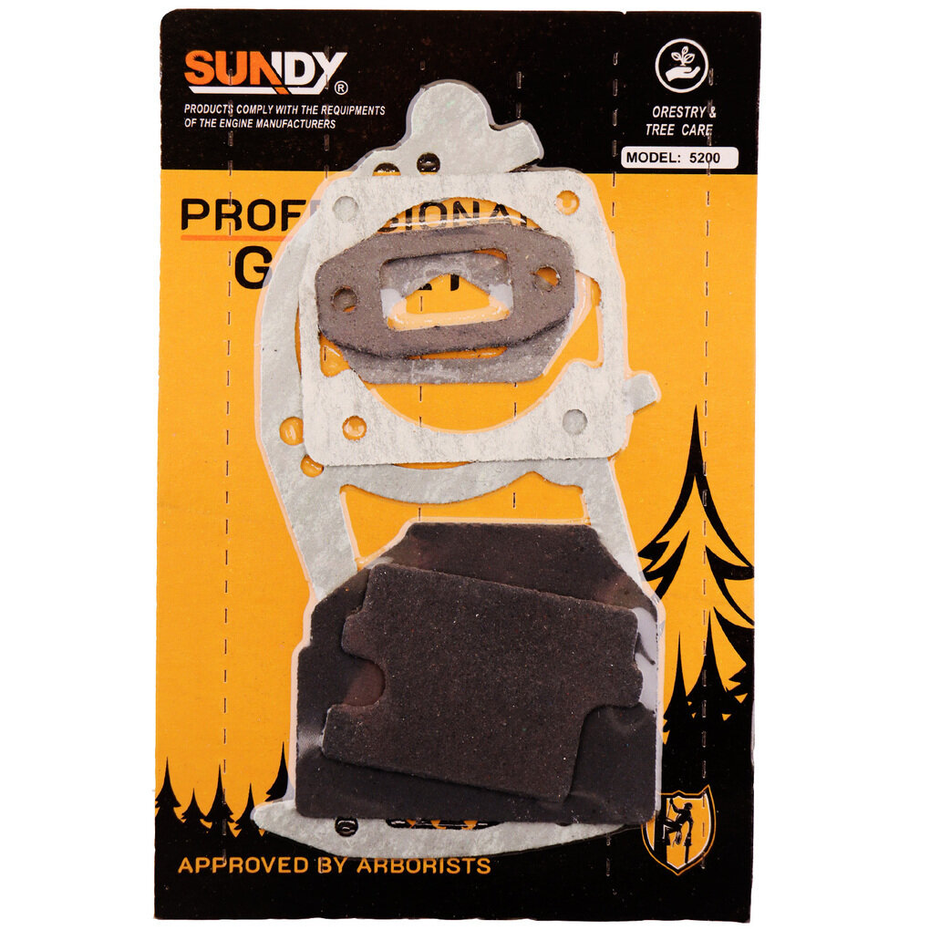 фото Прокладки бензопилы (набор) Carver, Brait 4500/5200 "SUNDY" (mod.B)