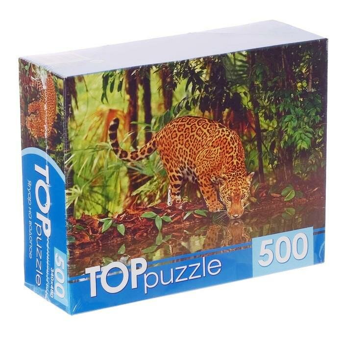 TOPpuzzle-500 "Ягуар на водопое" (КБТП500-6801) Рыжий кот - фото №4