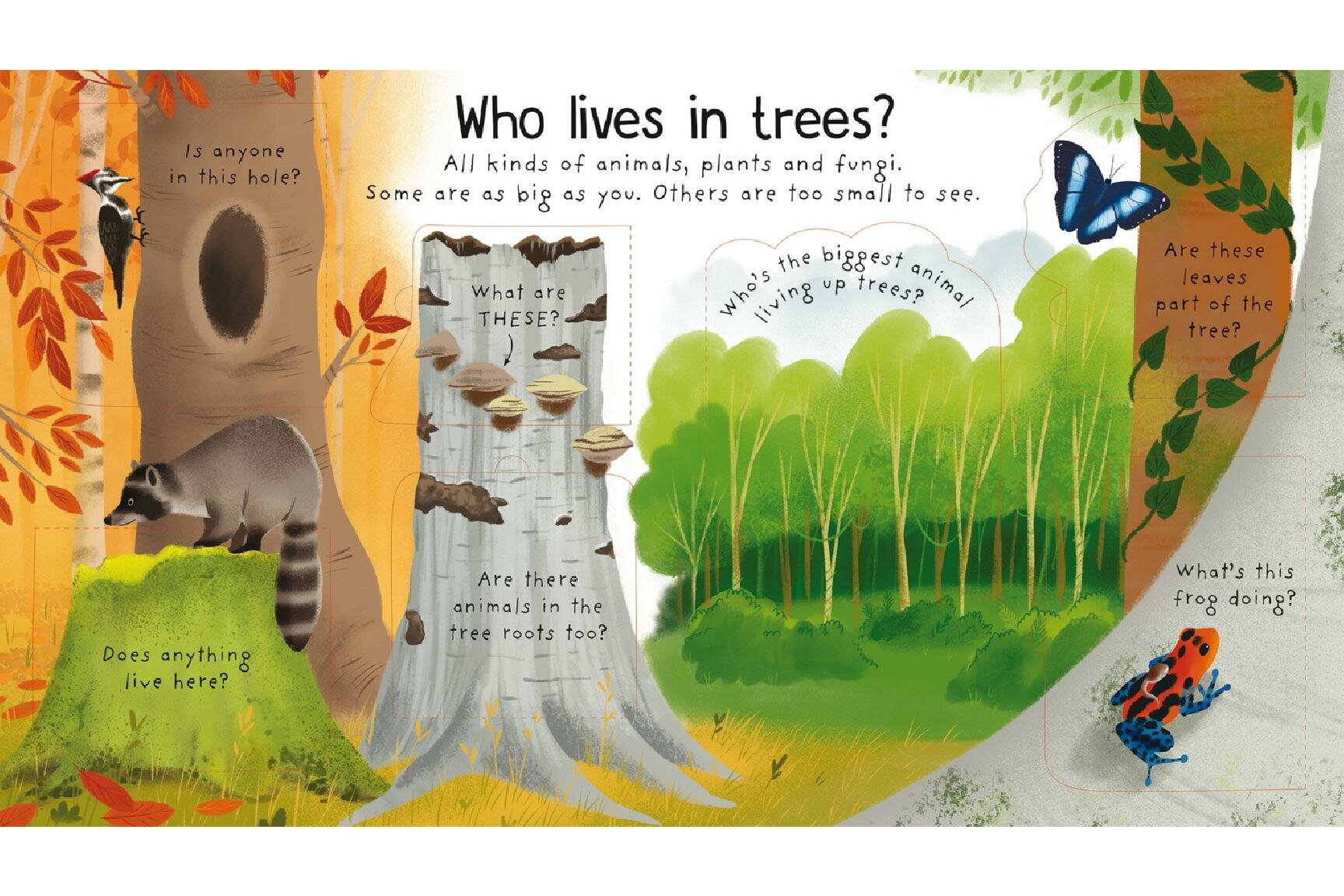 Why do we need trees? (Daynes Katie) - фото №2