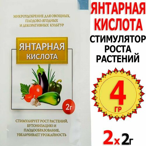 4г. Янтарная кислота 2г х 2шт Домен