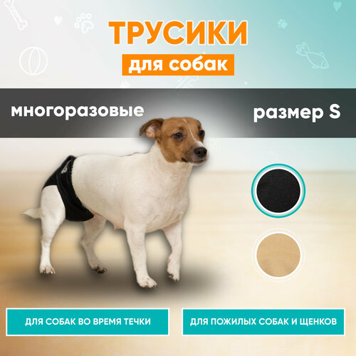 Трусы для собак многоразовые при течке Mr Dog, памперс для собак, подгузник для собак, S (23-34 см)