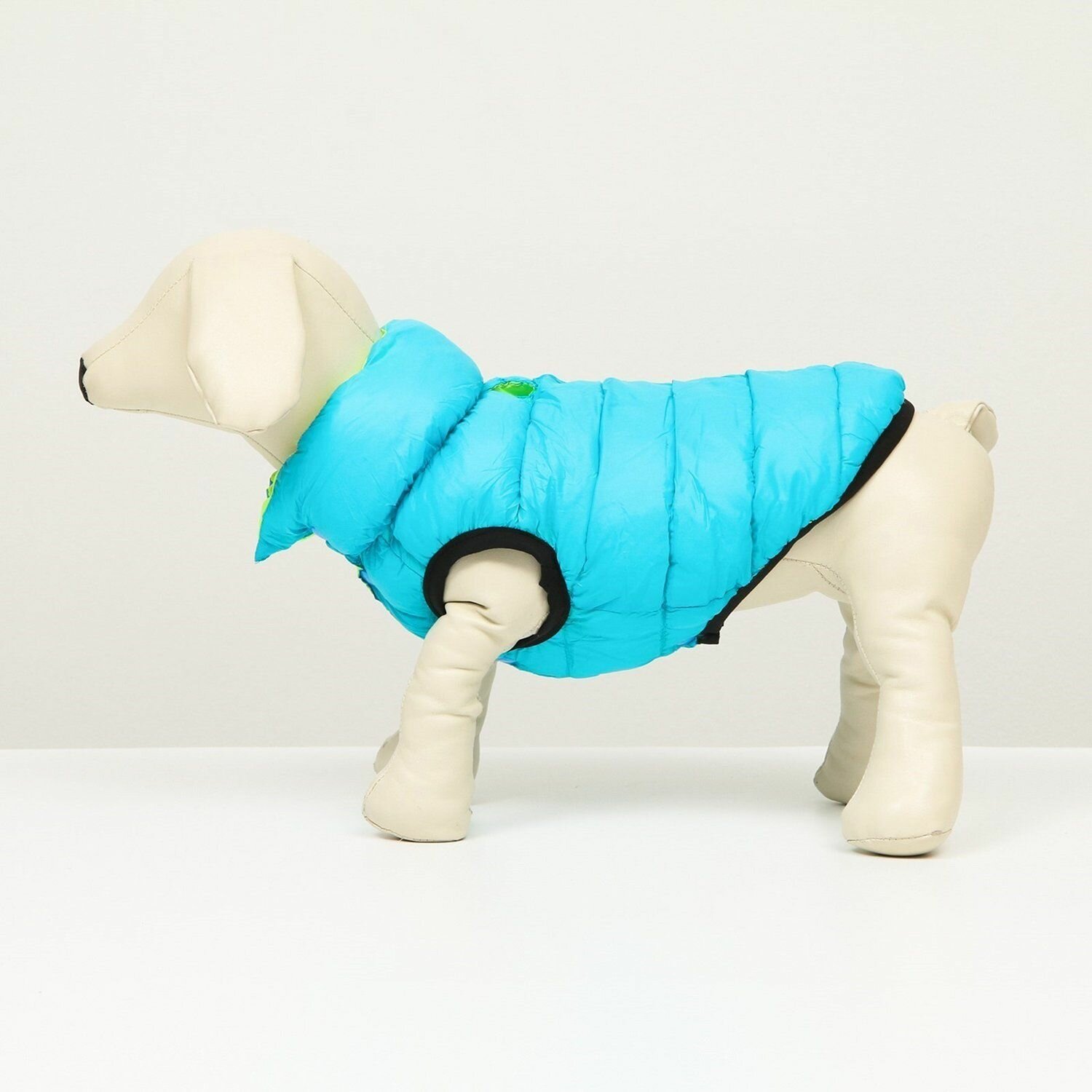 Куртка для собак Sima-Land двухсторонняя XS бирюзовая/салатовая - фотография № 3