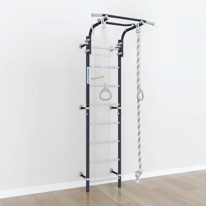 фото Спортивный комплекс на базе шведской стенки ROMANA Next