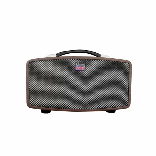 STINGRAY D5 Цифровой гитарный усилитель. Питание от сети или от литиевой батареи. , шт