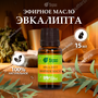 Банные штучки эфирное масло SPA & Sauna Эвкалипт