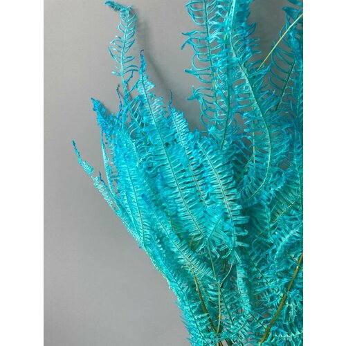 Папоротник #2 голубой