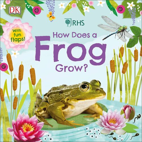 How Does a Frog Grow? | Sirett Dawn