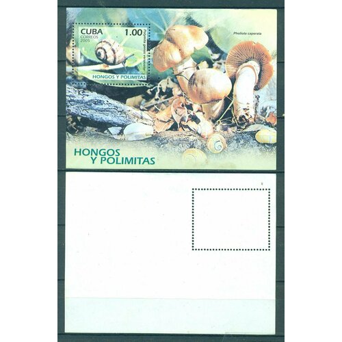 Почтовые марки Куба 2005г. Улитки и грибы Грибы, Улитки MNH