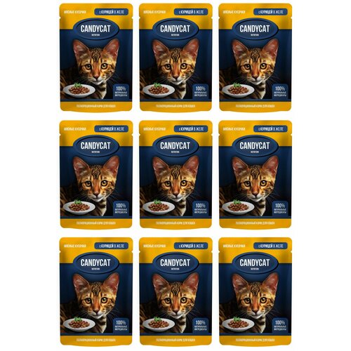 CandyCat Пауч для кошек, кусочки с Курицей в желе, 85 г, 9 шт