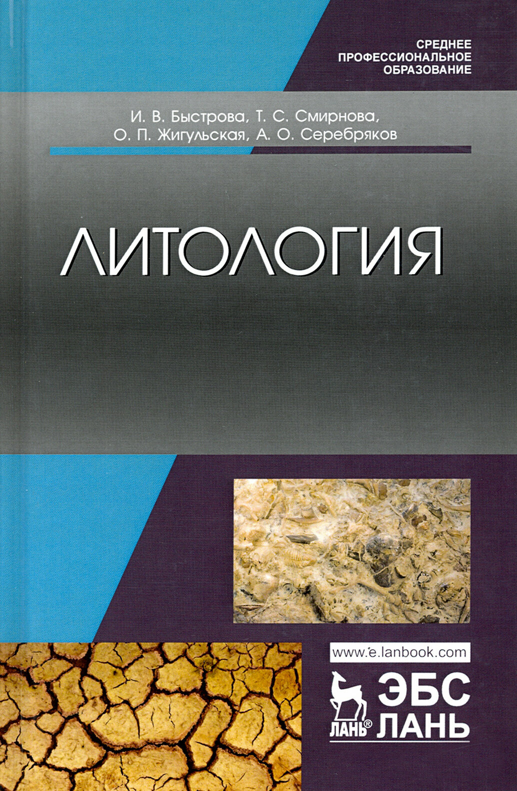 Литология. Учебник (Быстрова Инна Владимировна, Жульская Оксана Петровна, Смирнова Татьяна Сергеевна) - фото №3