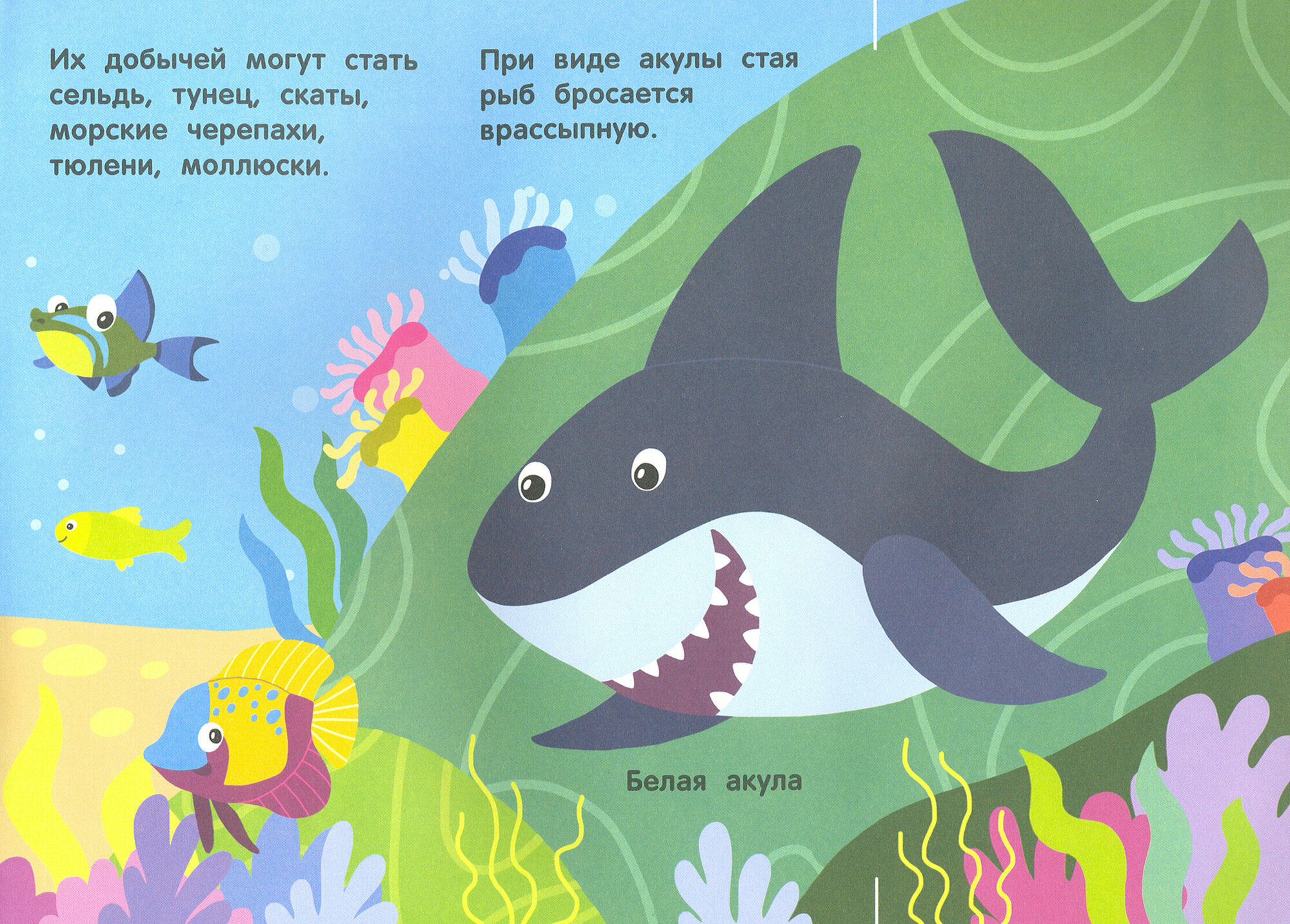 Кто под водой живет? Волшебная книжка с клапанами - фото №8