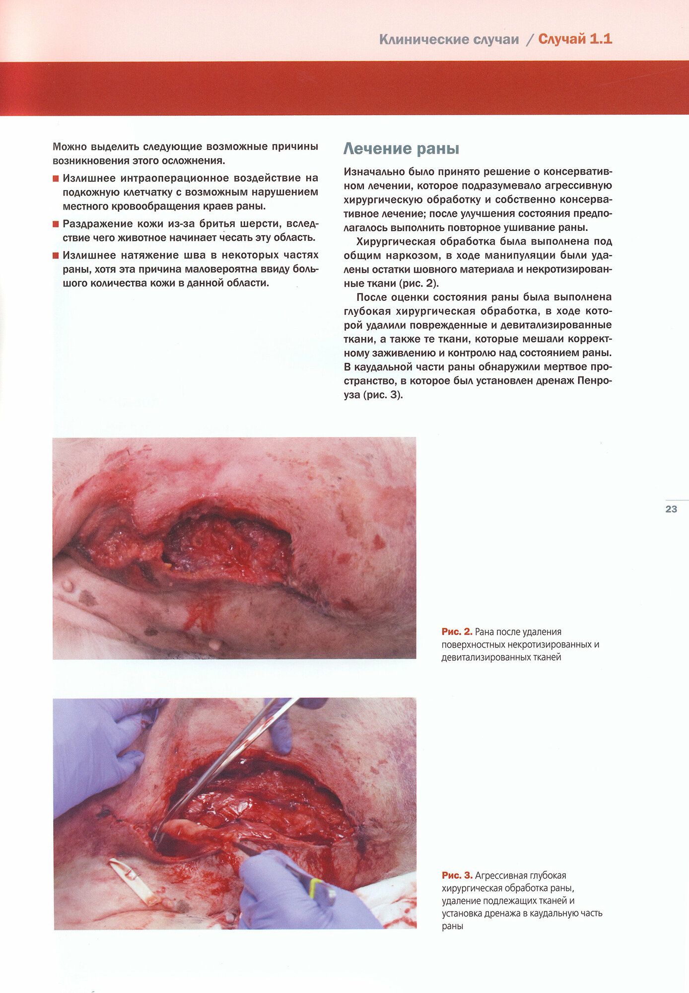 Пластическая хирургия собак и кошек. Клинические случаи лечения ран - фото №7