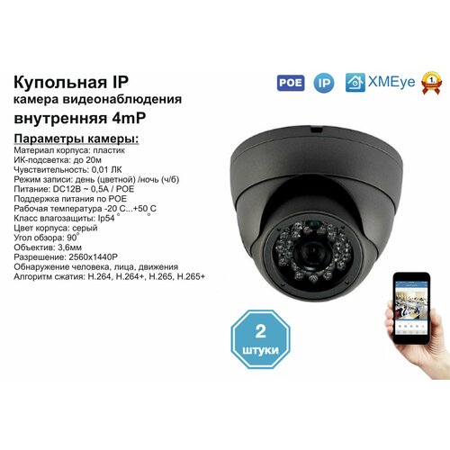 2шт DVS300IP4MPPOE Внутренняя IP камера 4мП с ИК до 20м 476500₽