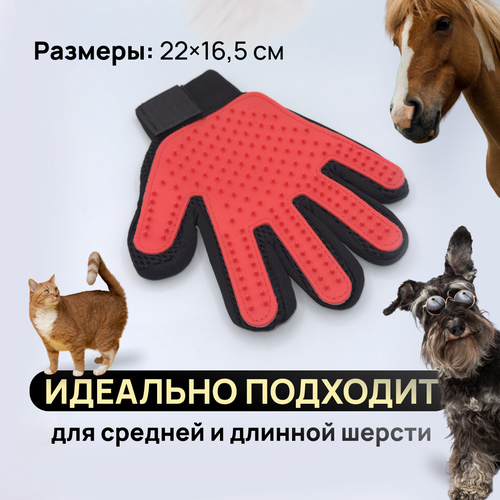 Перчатка расческа для вычесывания шерсти кошек и собак, цвет красный перчатка расческа для вычесывания шерсти кошек и собак цвет красный