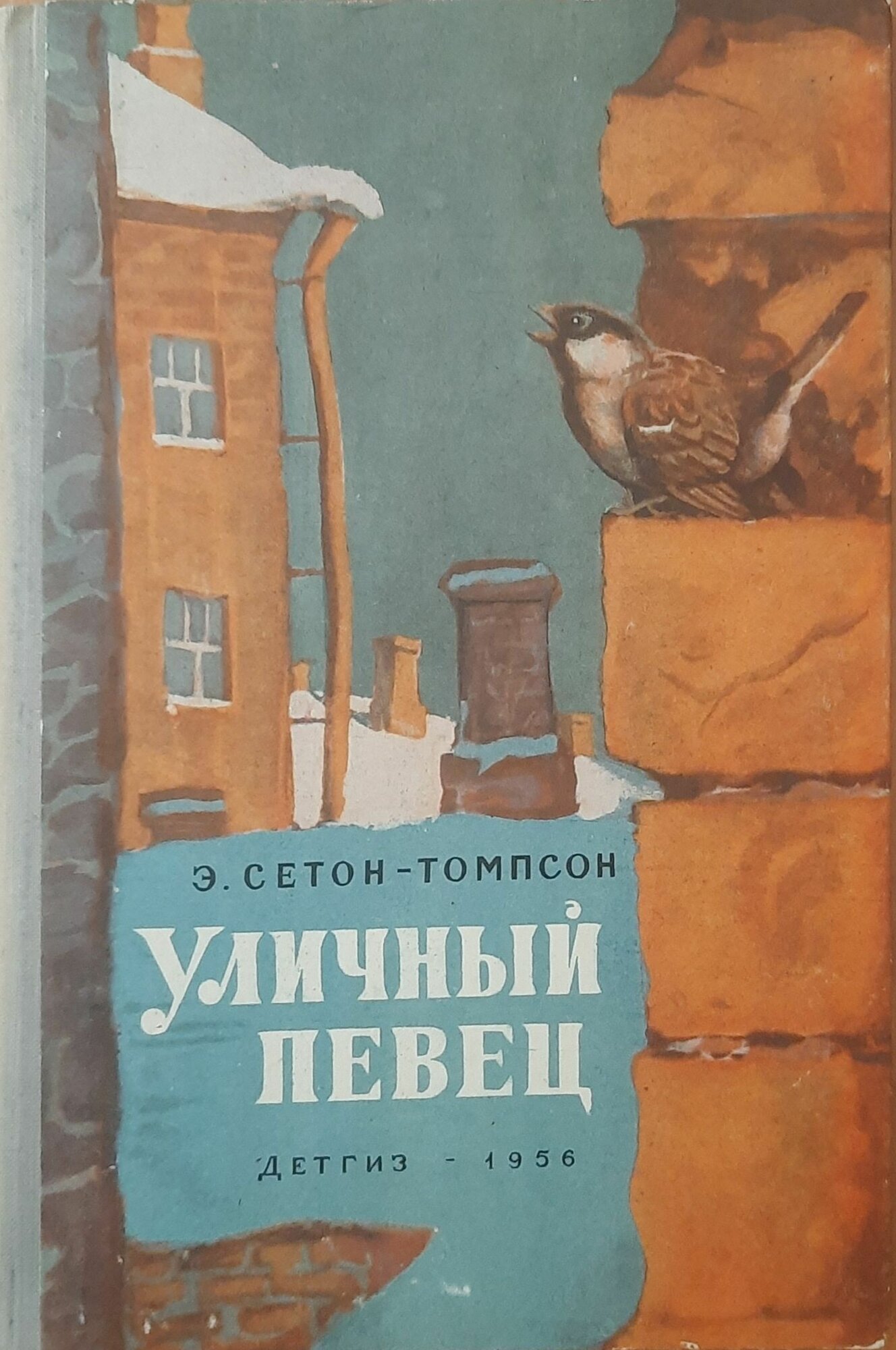 Уличный певец