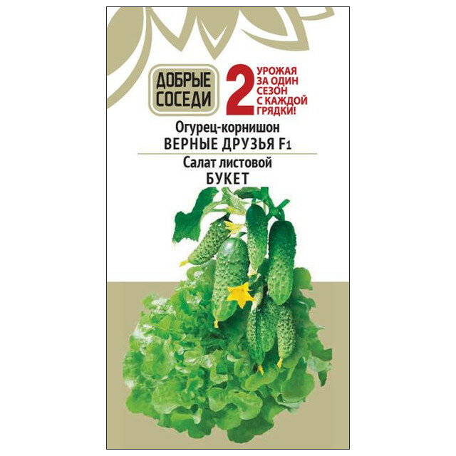 Семена Огурец Верные друзья F1 8 шт Салат Букет 05 гр