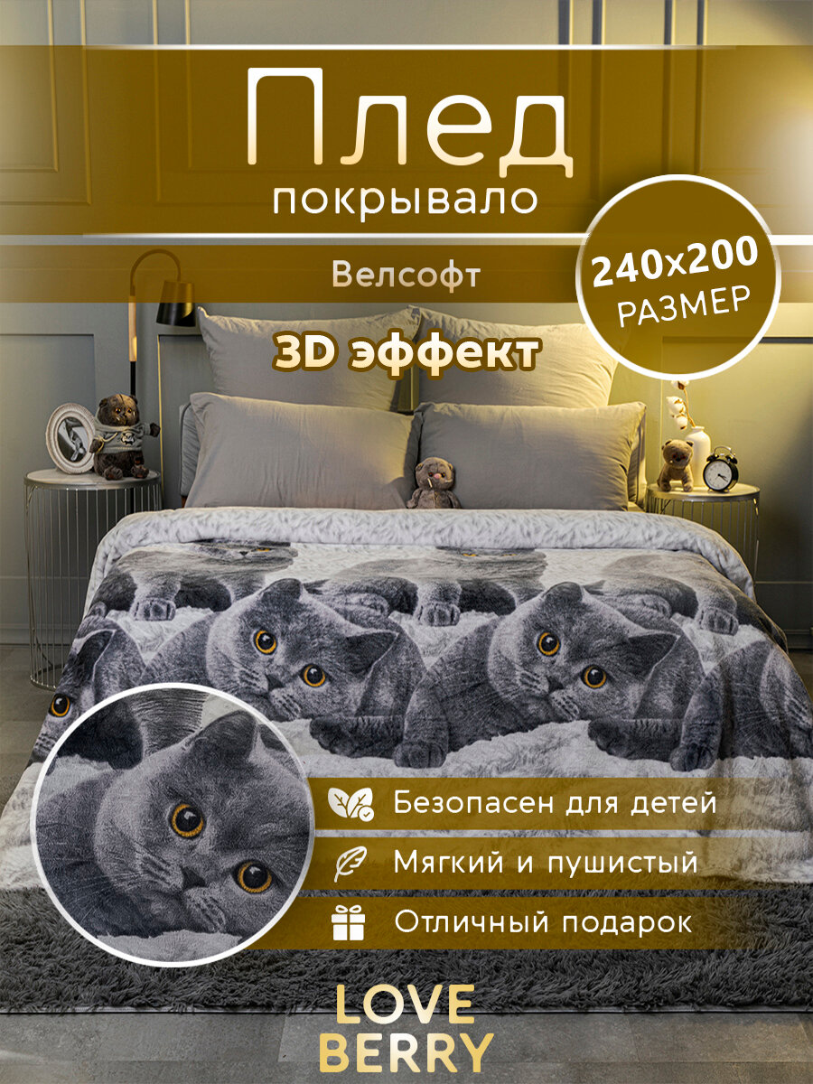 Плед 240х200 LOVEBERRY из велсофта Евро-макси, Британцы, подарок маме