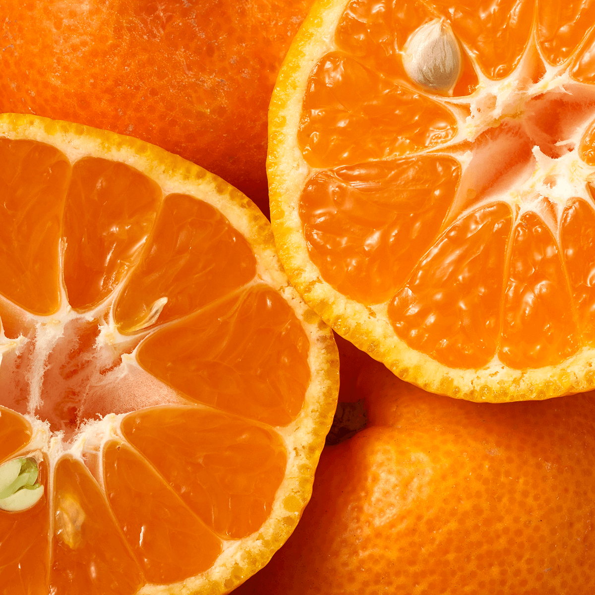 Мандарины Турция, 1 упаковка, в сетке — фото 1