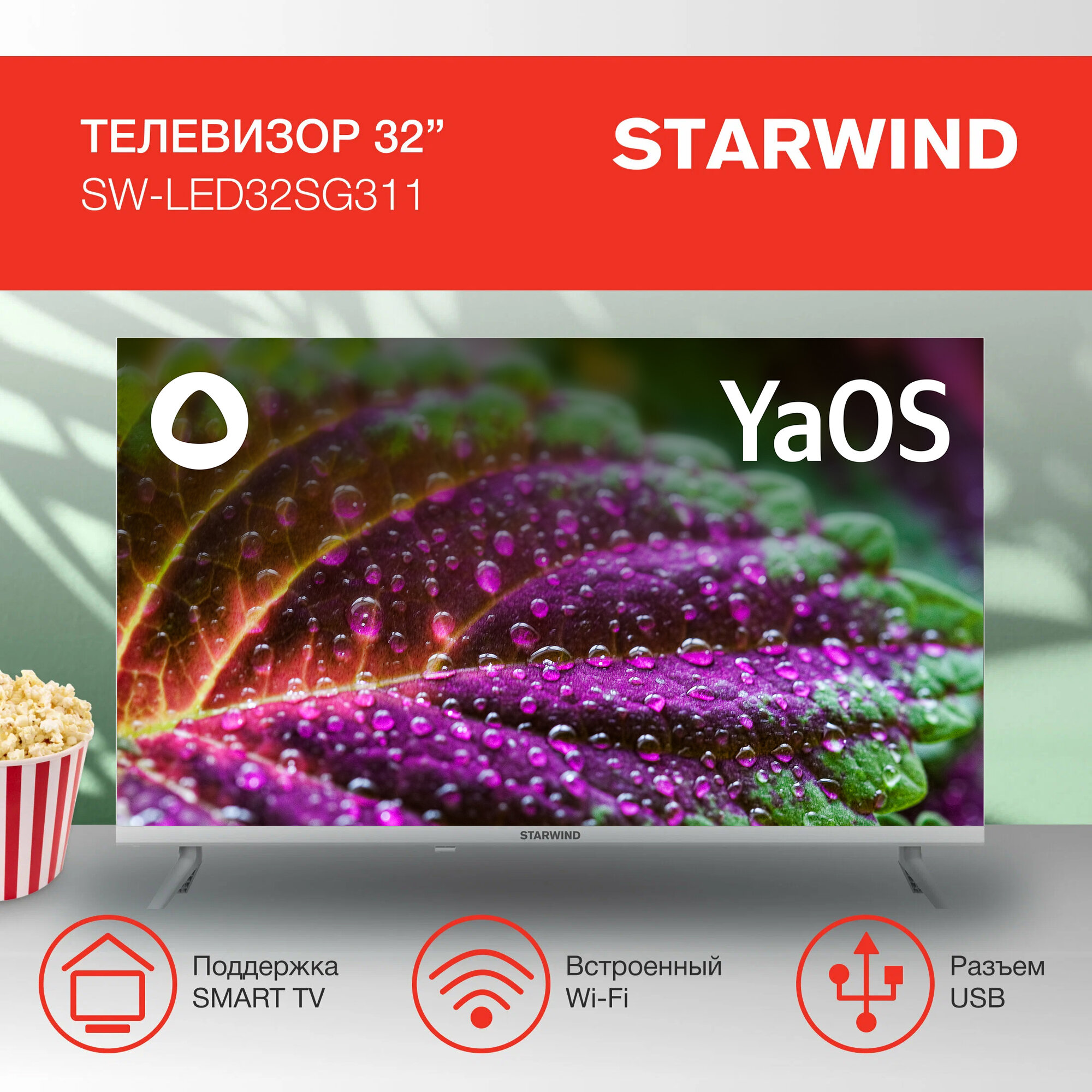 32" Телевизор STARWIND SW-LED32SG311 LED