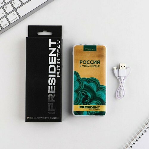 Зарядное устройство Россия в моём сердце 8000мА модель PB-19 145 х 69 см 197800₽