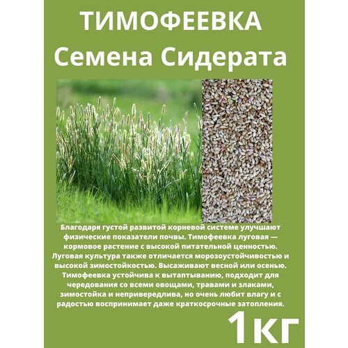 Семена Тимофеевка луговая 1 кг.