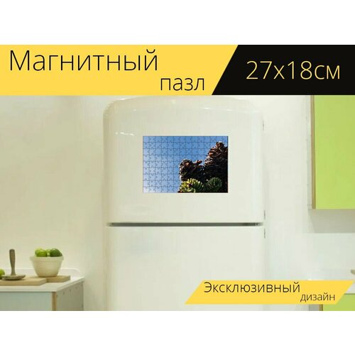 Магнитный пазл Шишка, сосна, природа на холодильник 27 x 18 см. магнитный пазл сосна сосновая роща зеленая природа на холодильник 27 x 18 см