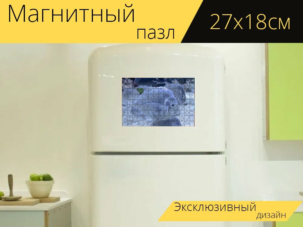 Магнитный пазл "Рыбы, подводный, аквариум" на холодильник 27 x 18 см.