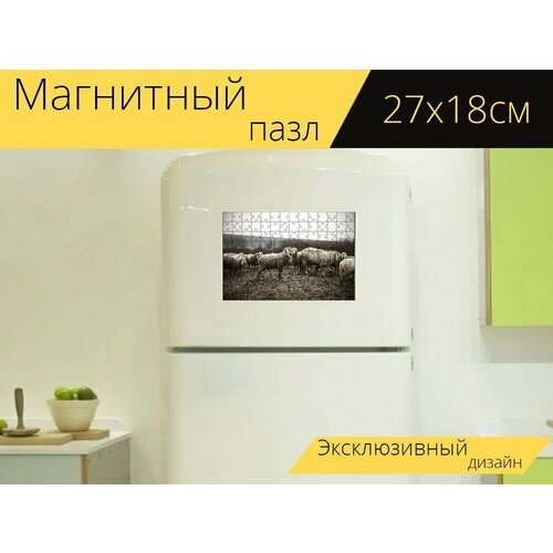 Магнитный пазл Овец, животные, стадо на холодильник 27 x 18 см.