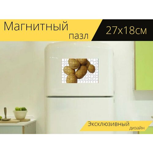 Магнитный пазл Картошка, еда на холодильник 27 x 18 см. магнитный пазл мясной рулет деликатес домашняя еда на холодильник 27 x 18 см