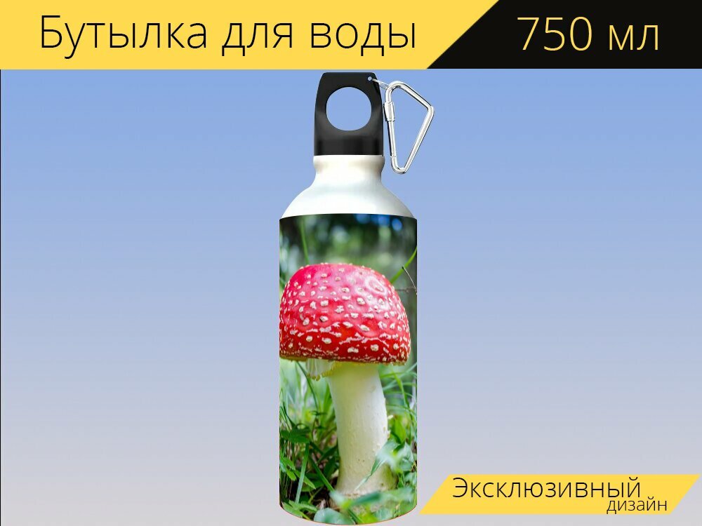 Бутылка фляга для воды "Мухомор, красный, лужайка" 750 мл. с карабином и принтом