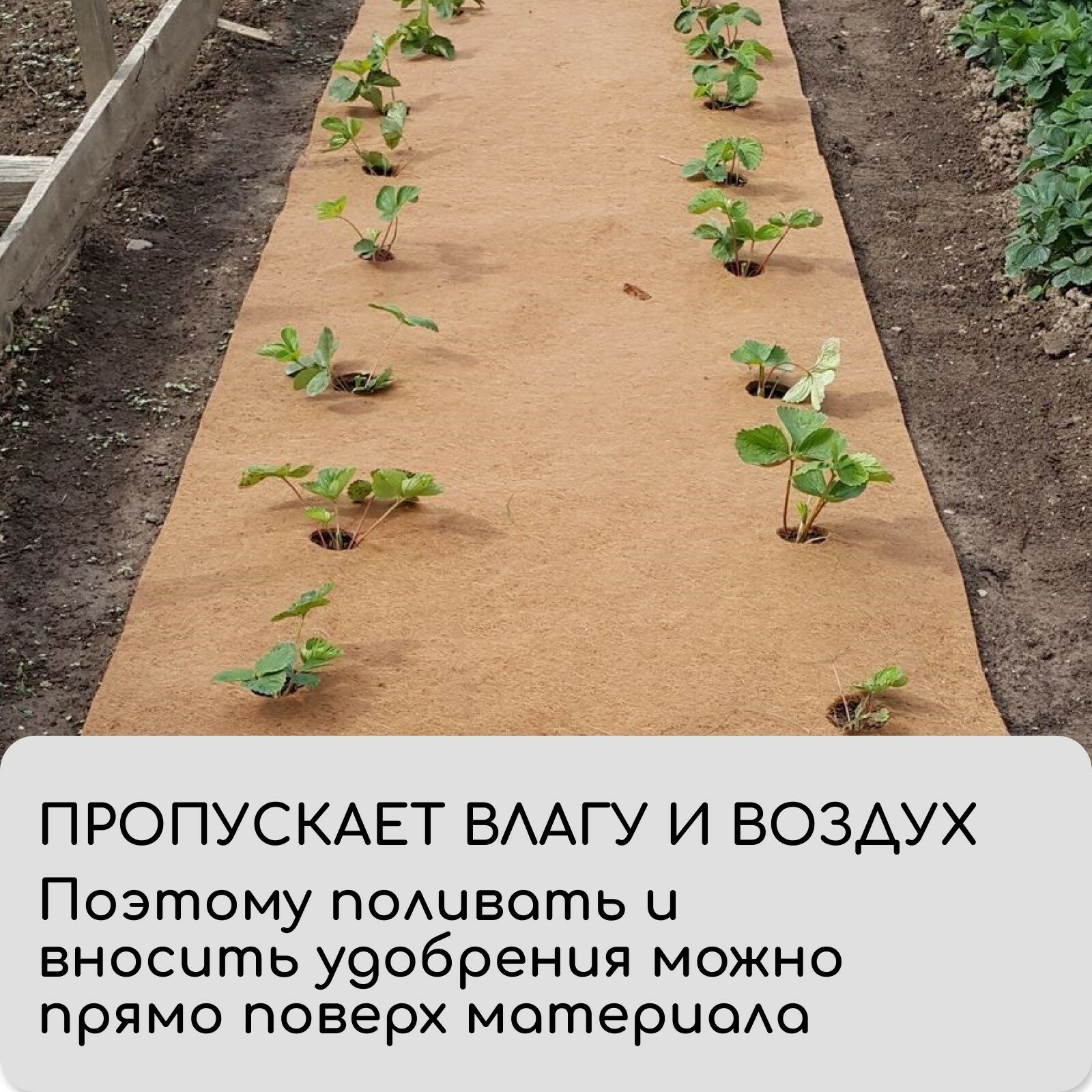 Кокосовое полотно для мульчирования, 3 × 0,5 м,