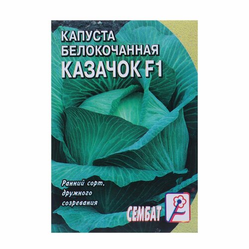 Семена Капуста белокачанная Казачок F1, 0,1 г