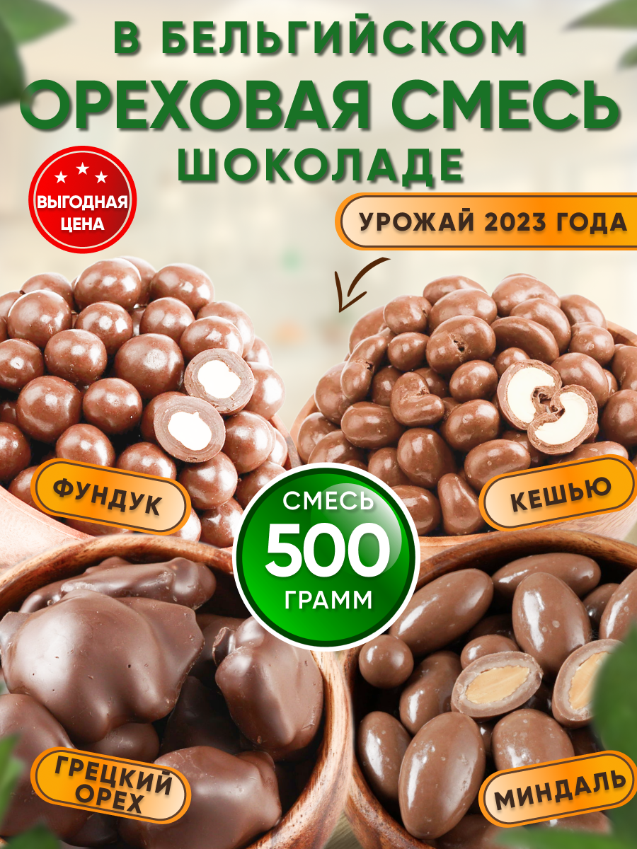 Ореховая смесь в бельгийском шоколаде 500гр