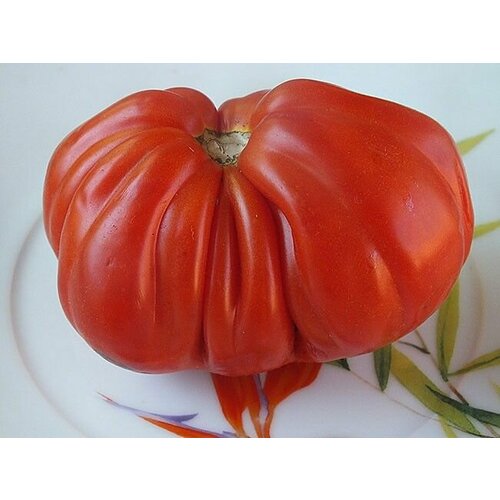 Коллекционные семена томата Келлера бычье сердце