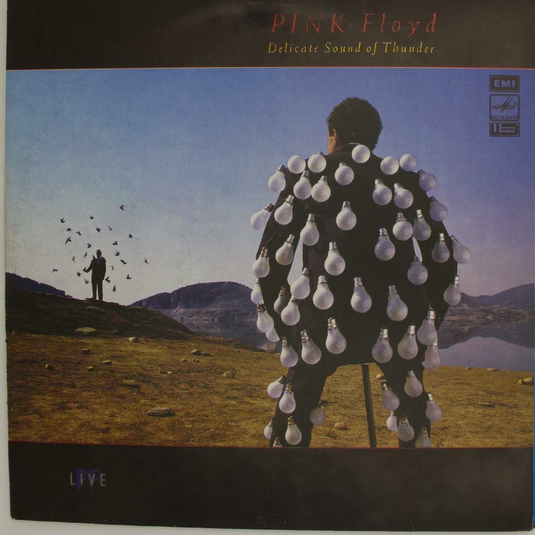 Виниловая пластинка Pink Floyd - Delicate Sound Of Thunder