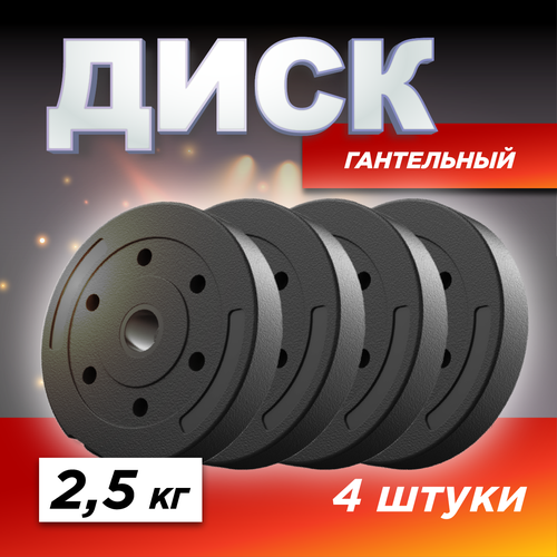 Диски для грифа Атлант пластиковые 4 шт. по 2,5 кг, d-26мм, блины для штанги, гантели черные