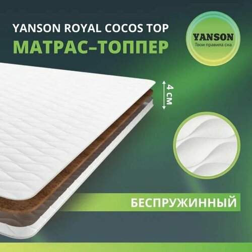 YANSON Royal Cocos top 70-195