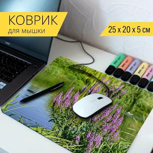 Коврик для мыши с принтом Цветок, lythrum, вербейник 25x20см.