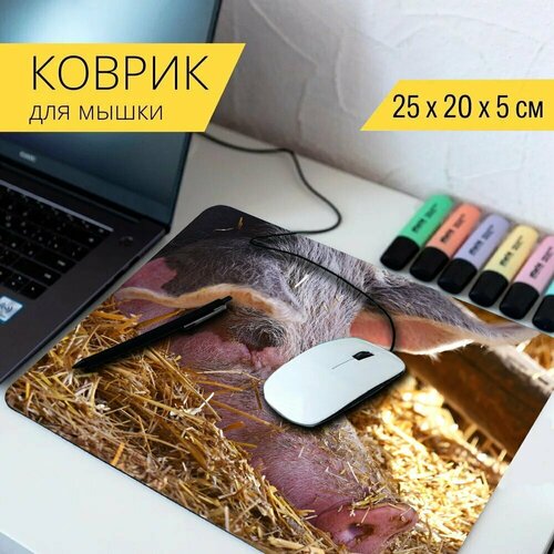 Коврик для мыши с принтом Свинья, животное, млекопитающее 25x20см.