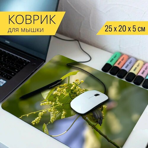 Коврик для мыши с принтом Птица, природа, дикая природа 25x20см. стол черепаха природа дикая природа 65x65 см кухонный квадратный с принтом