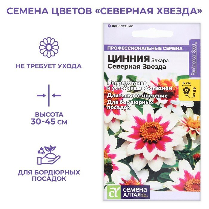 Семена цветов Цинния Захара "Северная звезда", 6 шт