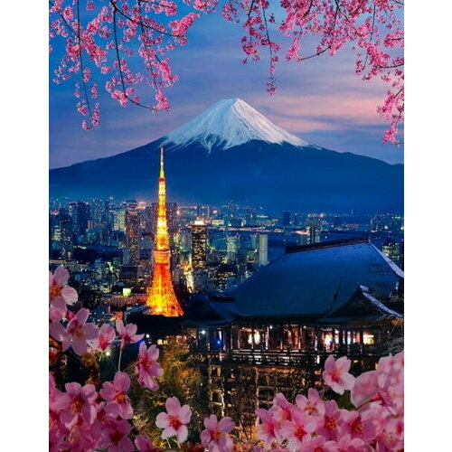 эйфелева башня роспись по холсту картина по номерам 40 50см Токио. Роспись по холсту(картина по номерам 40*50см)