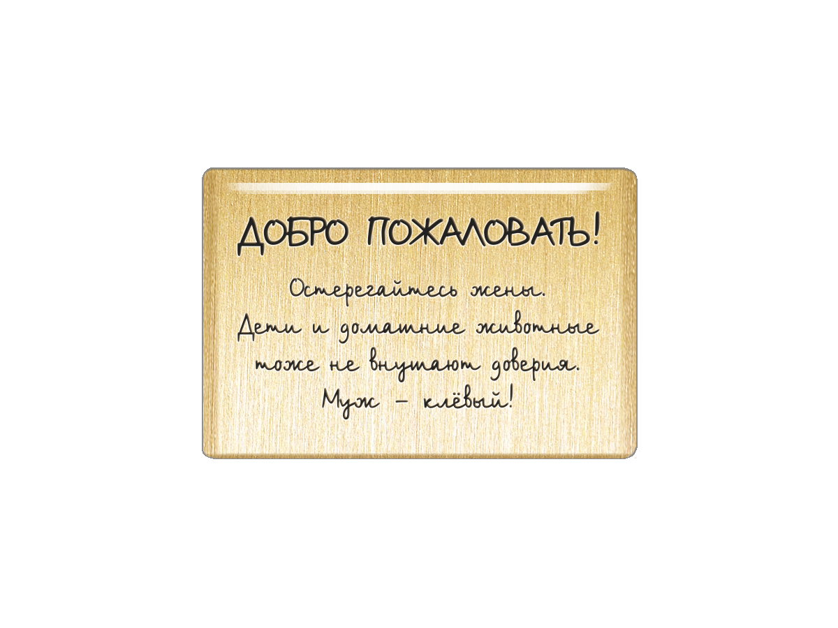 Магнит «Добро пожаловать! Остерегайтесь жены. Дети и домашние животные тоже не внушают доверия. Муж - клевый!»