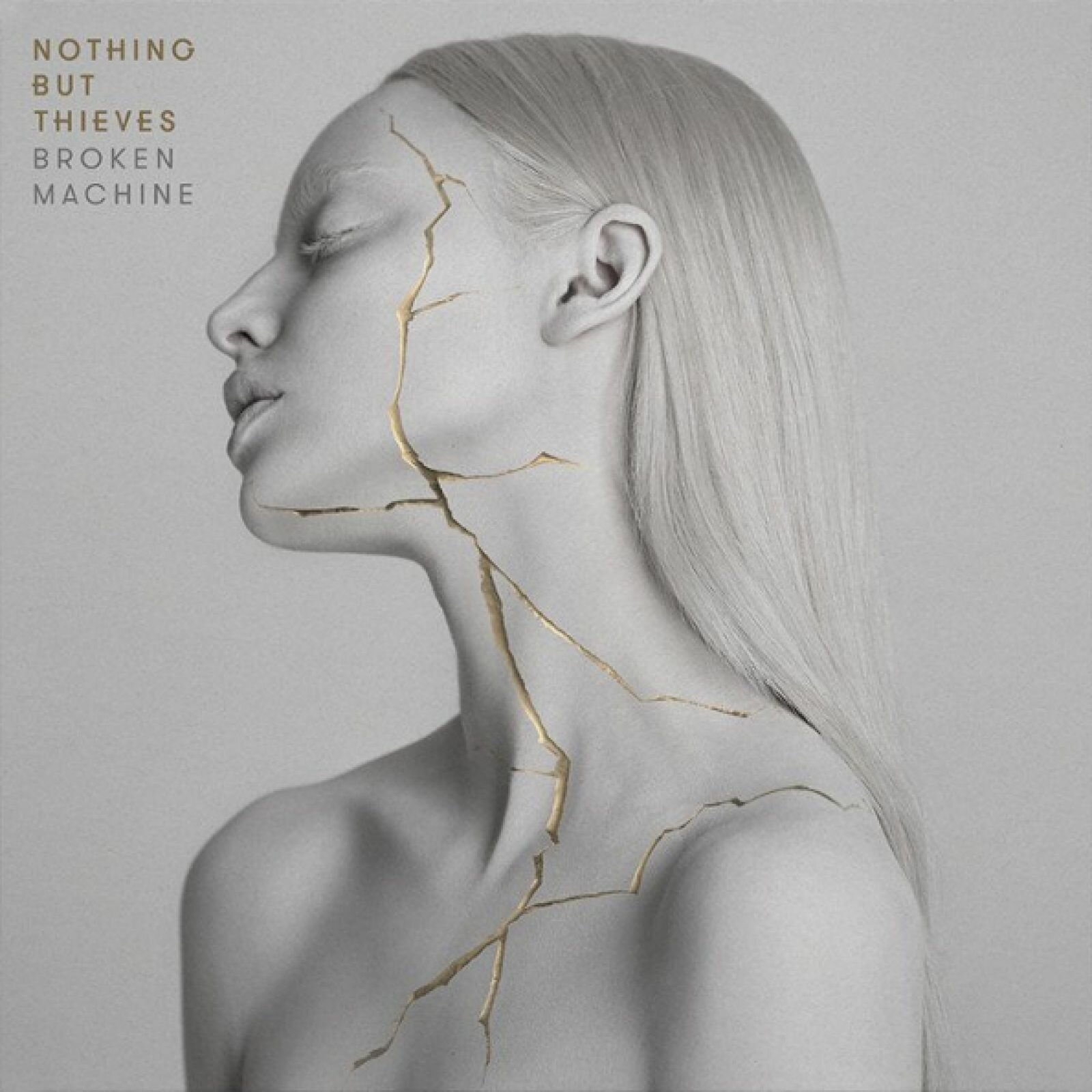 Винил 12" (LP) Nothing But Thieves Nothing But Thieves Broken Machine (LP)