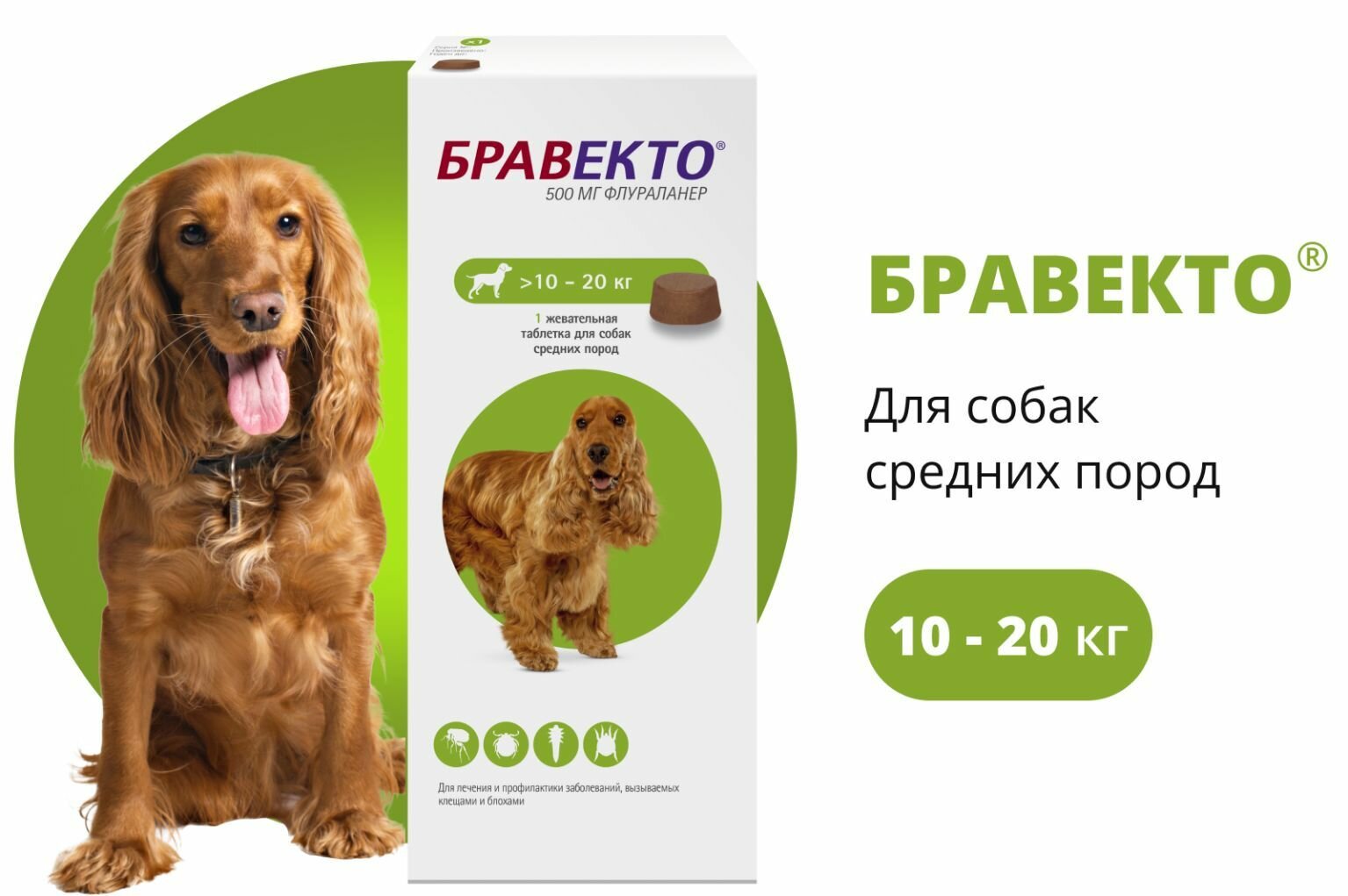 До 02.2026 Бравекто (MSD Animal Health) таблетки от блох и клещей для средних пород собак весом 10-20 кг, 1 таблетка в упаковке