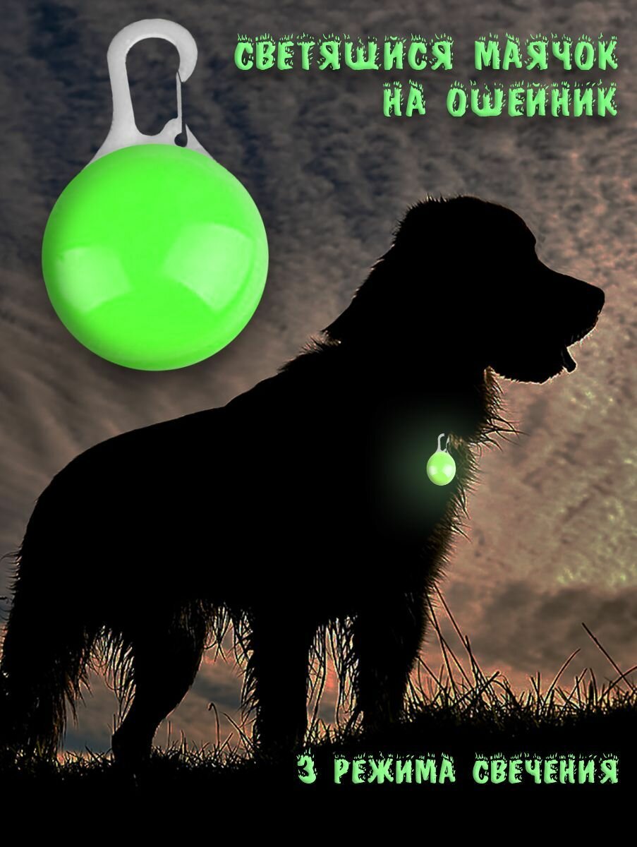 фото Маячок на ошейник, светящийся
