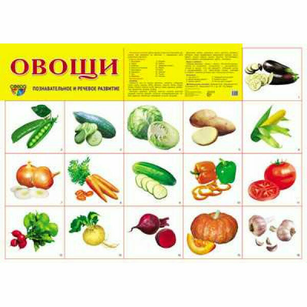 Наглядный материал для детей
