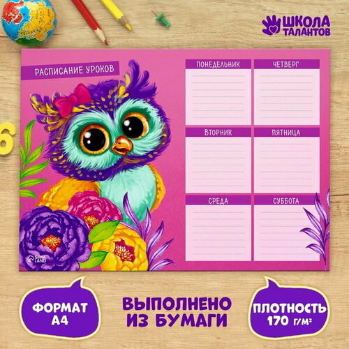 Расписание уроков Сова А4, 20 шт.