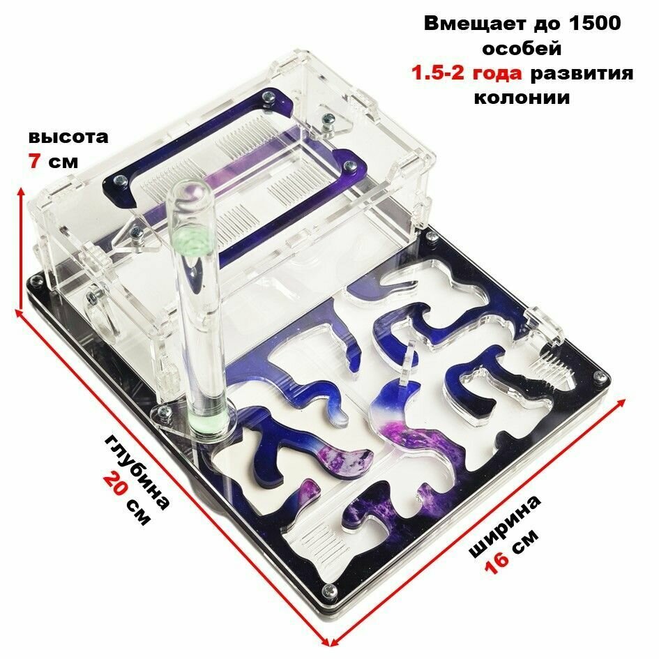 Средняя муравьиная ферма "Космос" 20x16 basic - фотография № 3